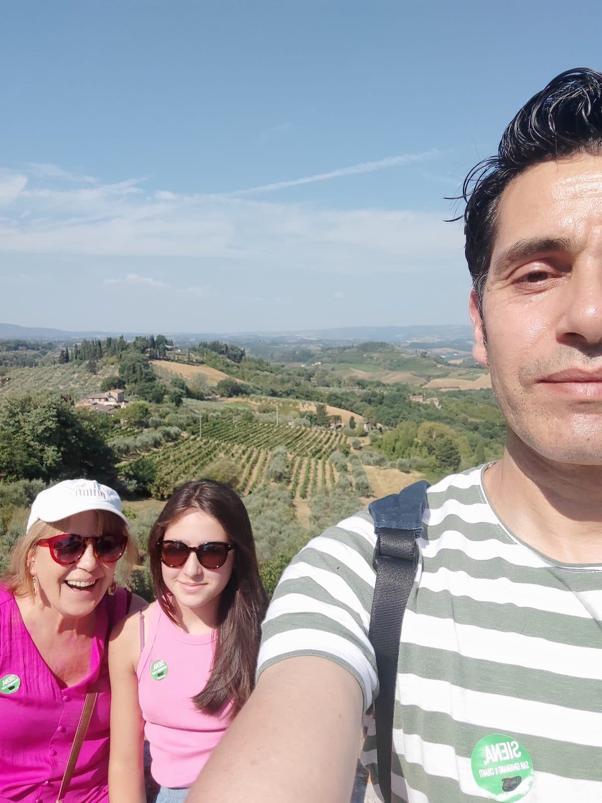 Vineyards and olive trees on a hillside in the Chianti region of Tuscany