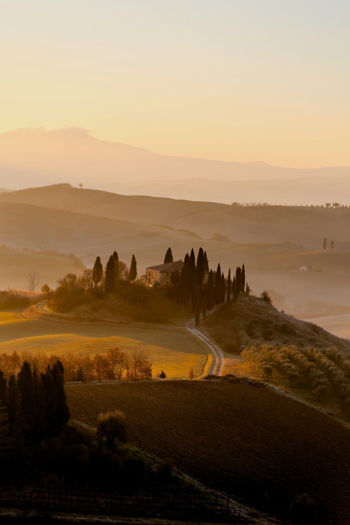 A Tuscan hill town rising above mist and vineyards at sunrise