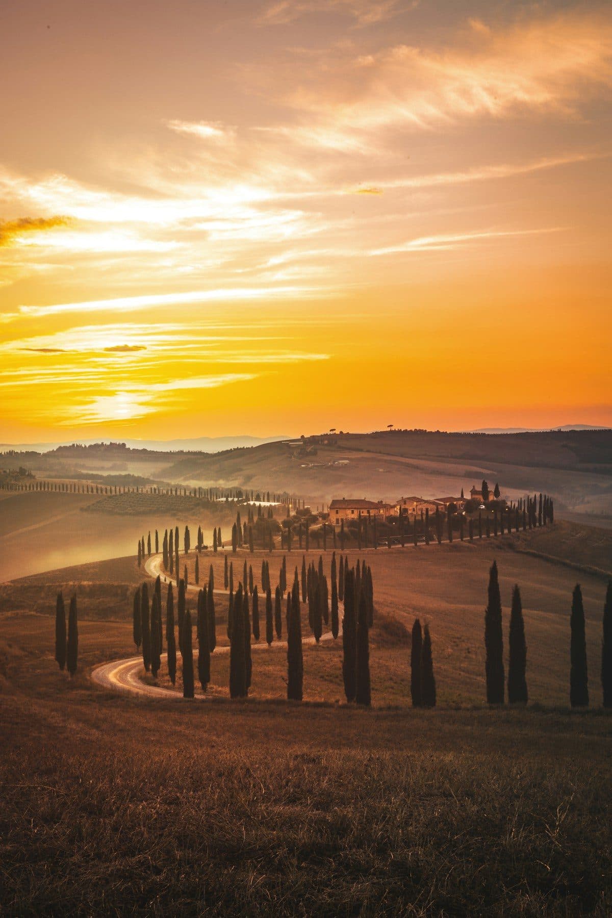 Cypress trees beside a country road through the Tuscan hills at sunset