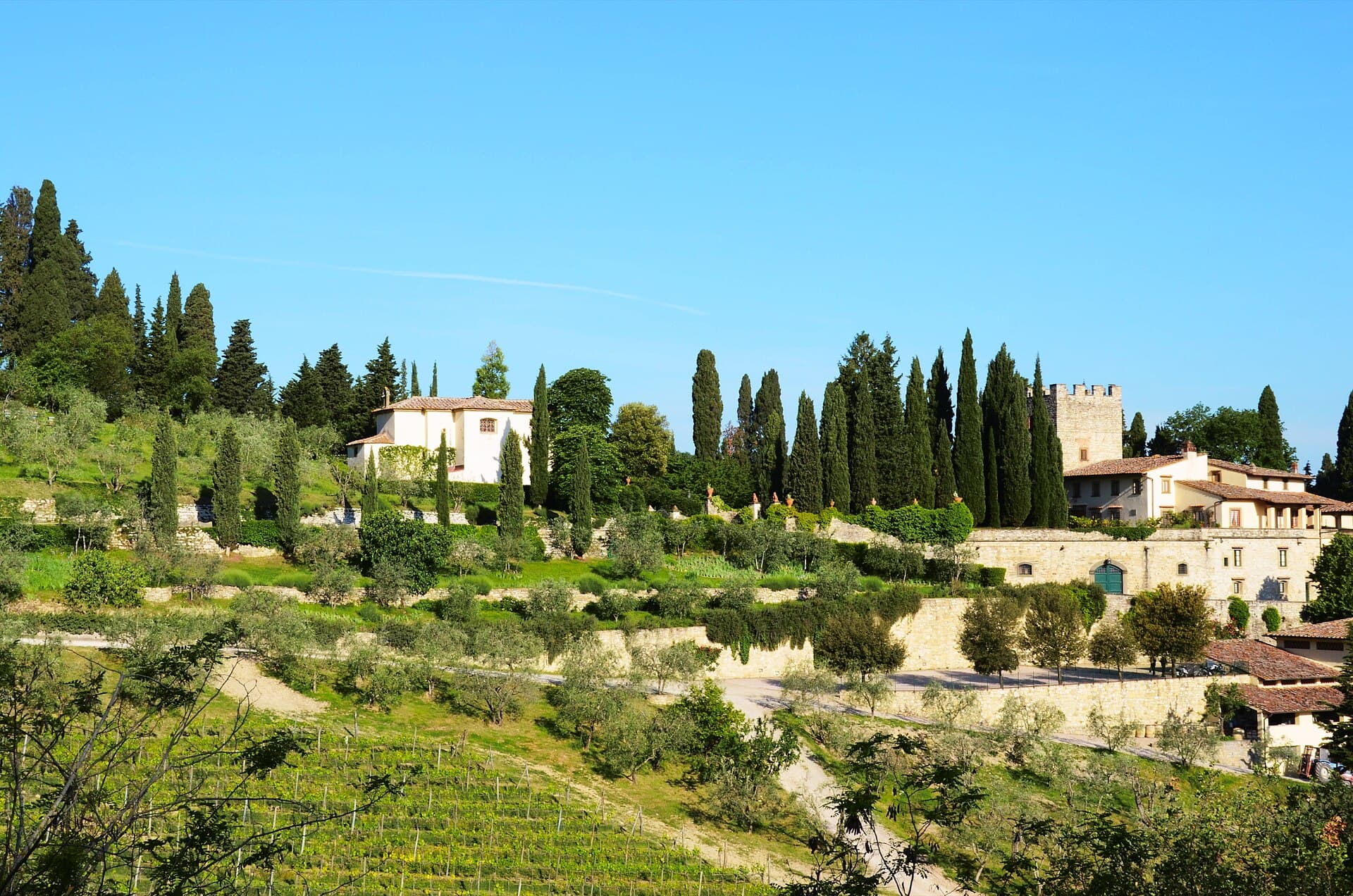 Castello di Verrazzano on its hill above Greve in Chianti, a crenellated tower and a chapel among cypresses, with terraced stone walls, olive trees and vineyard rows below