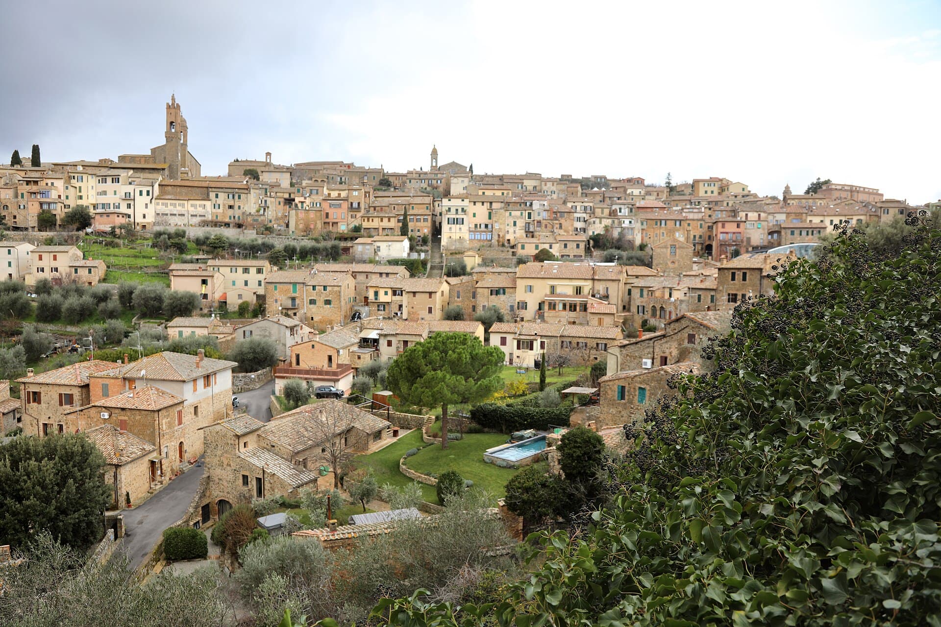 The stone houses of Montalcino climbing the hill towards the bell tower, with olive terraces below the walls