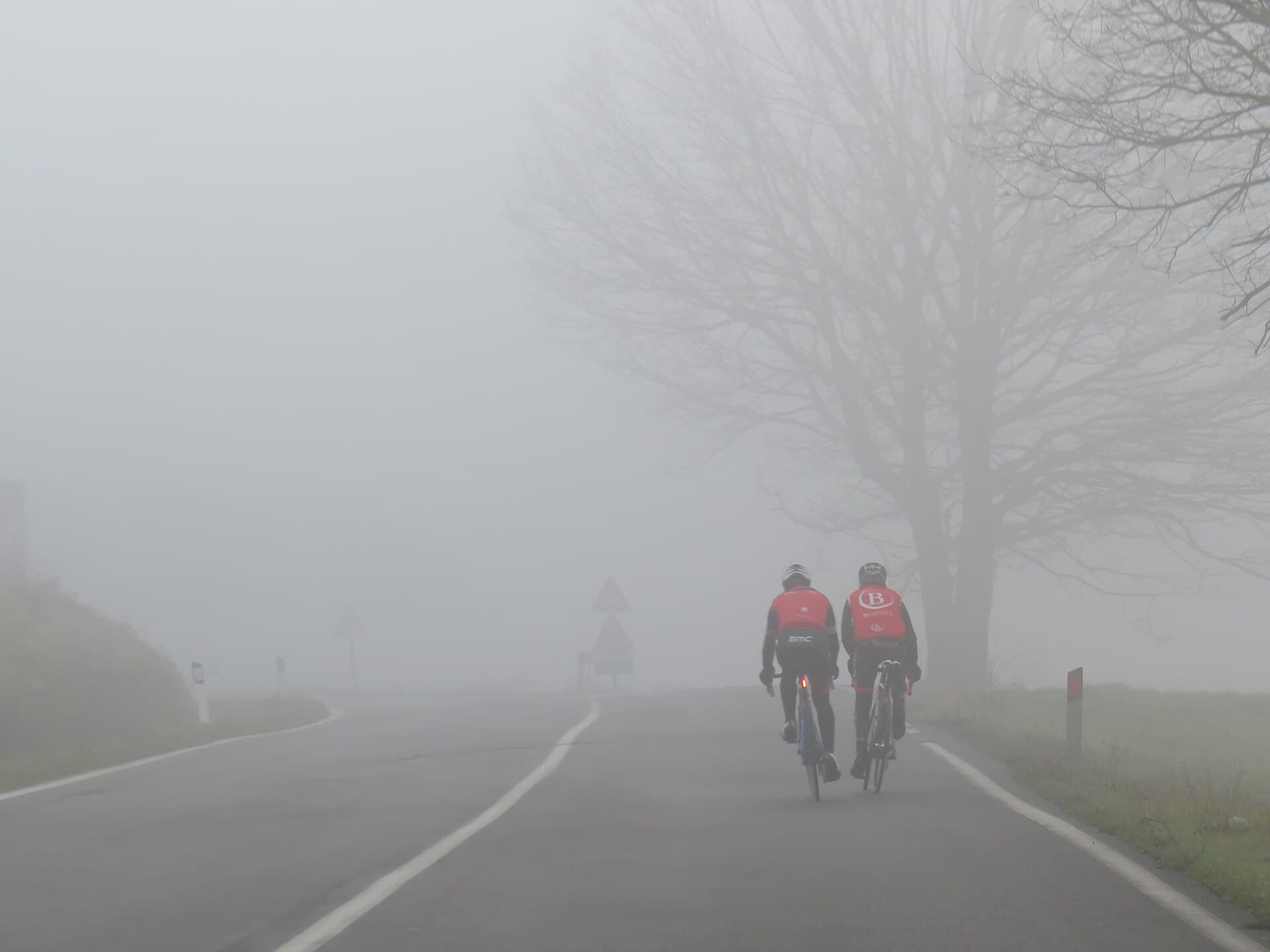 Two road cyclists riding away from the camera on a Tuscan road in thick fog, with bare trees and no hard shoulder