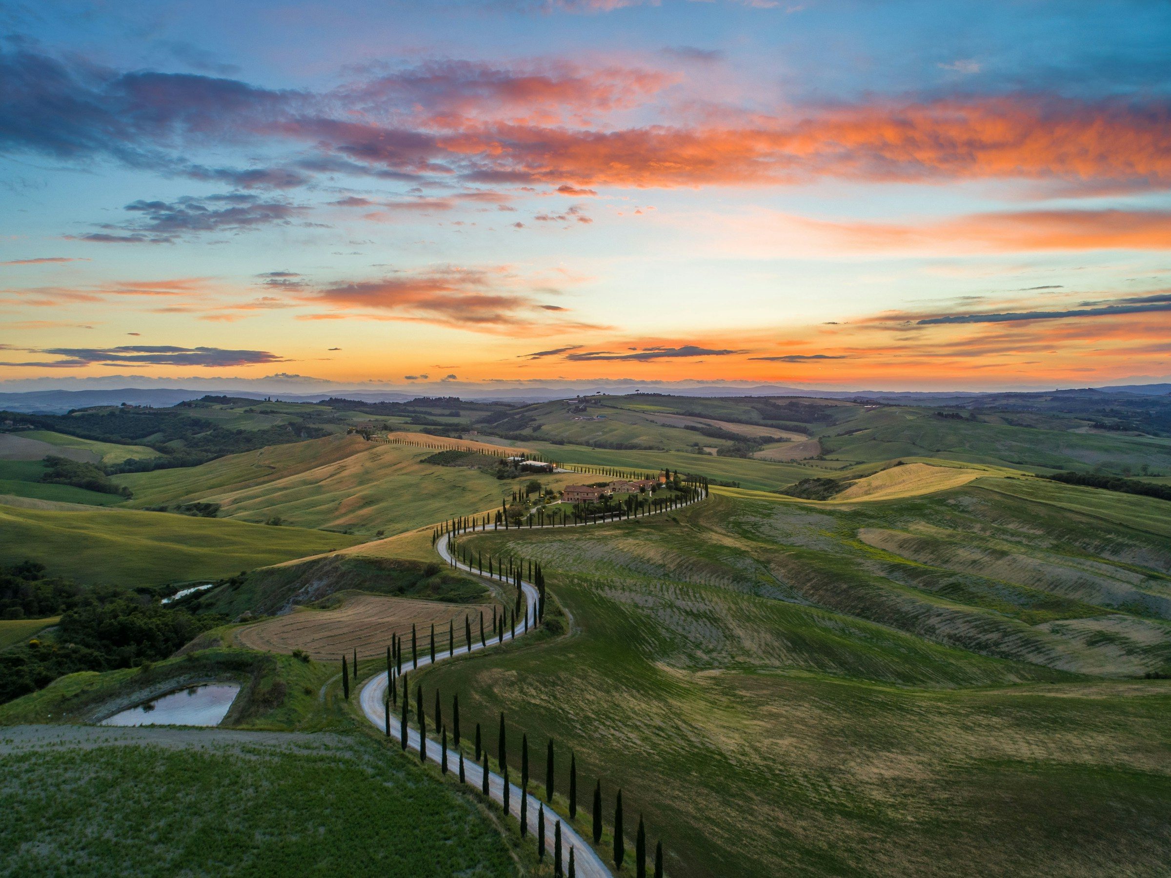 A winding road lined with cypress trees through the hills of the Val d'Orcia